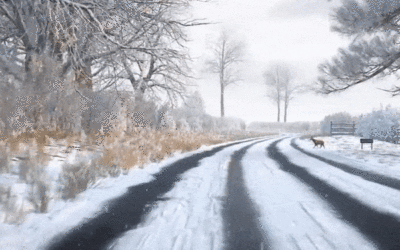 Deer crossing snowy road in front of vehicle