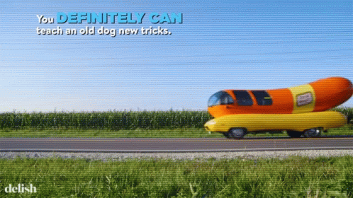 Half Hot Dog, Half Car, Fully In Trouble…